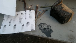 Stuff School came into existence when Extra Bones was offered use of a small, roofless building in the playground of an ex-school, to create a drop-in workshop as part of Deptford X festival, 2013.
It’s a platform, and loose set of instructions...