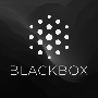 BLACKBOX AI