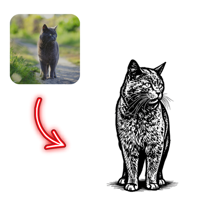 Realistic cat illustration with inset of a cat on a path