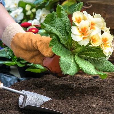 @mediawiki-client-tools