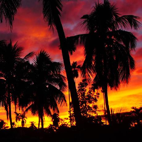 @Beating-the-Machine