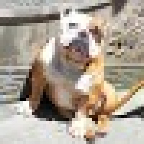 @shenzenkanfang-hash