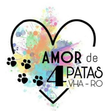 @Amor-de-quatro-patas