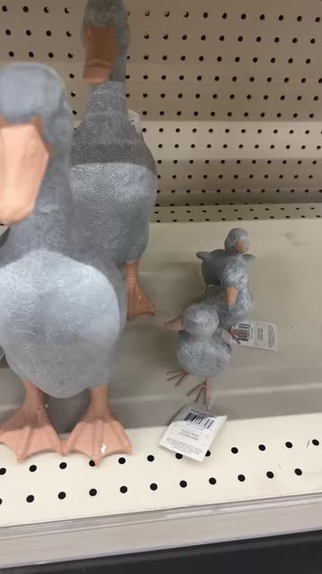 LaBarbie 🩷🦁🧚‍♀️