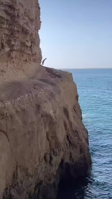 συssαмα ✨🤍