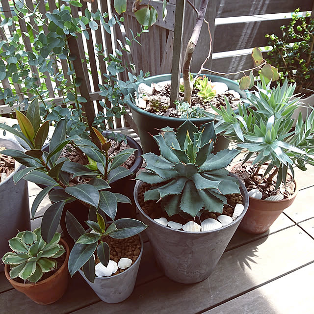 natuさんの実例写真