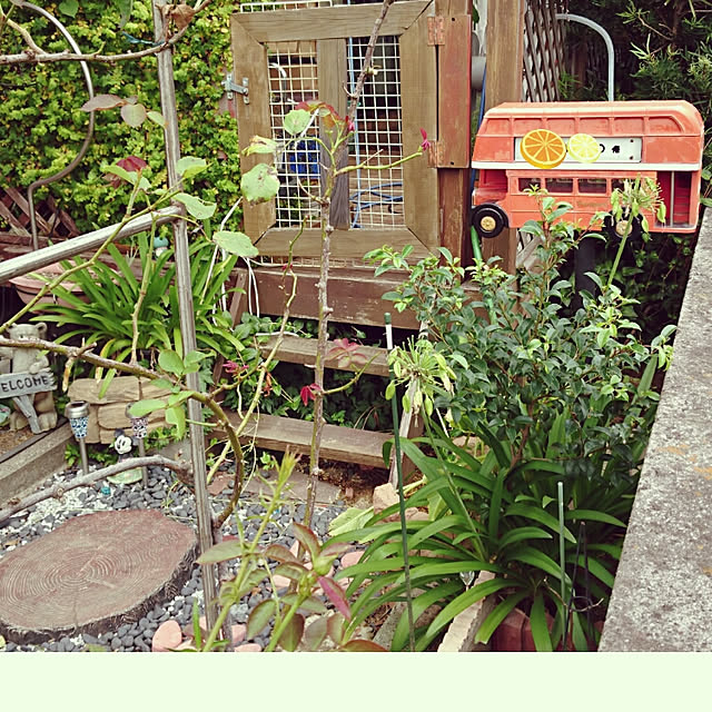 maiさんの実例写真