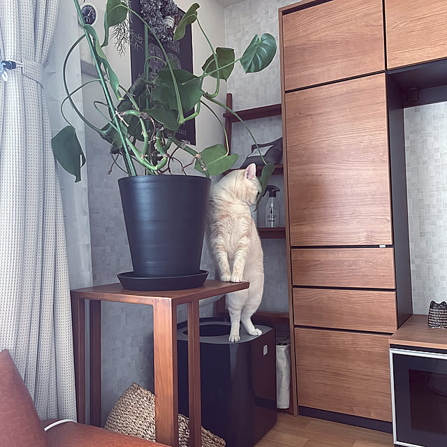 hiyupan88さんの実例写真