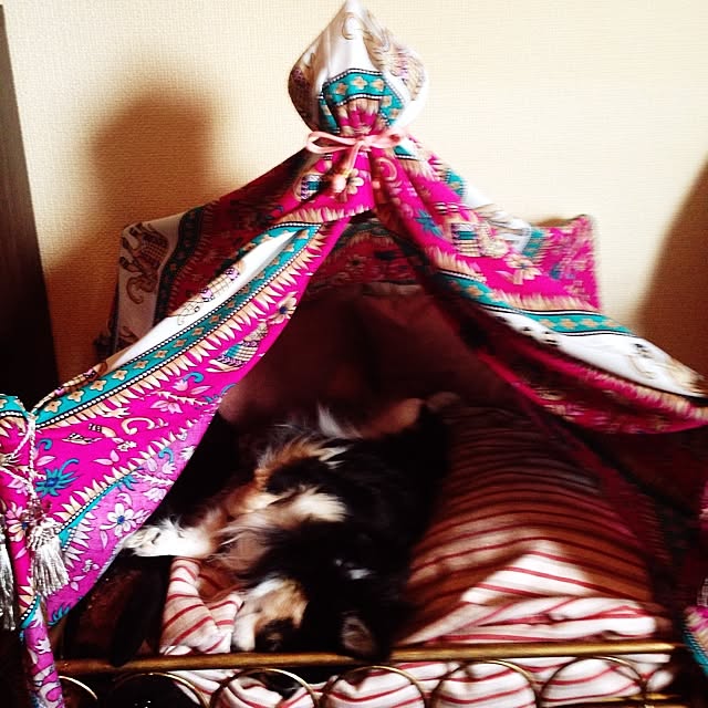 Hazukiさんの実例写真