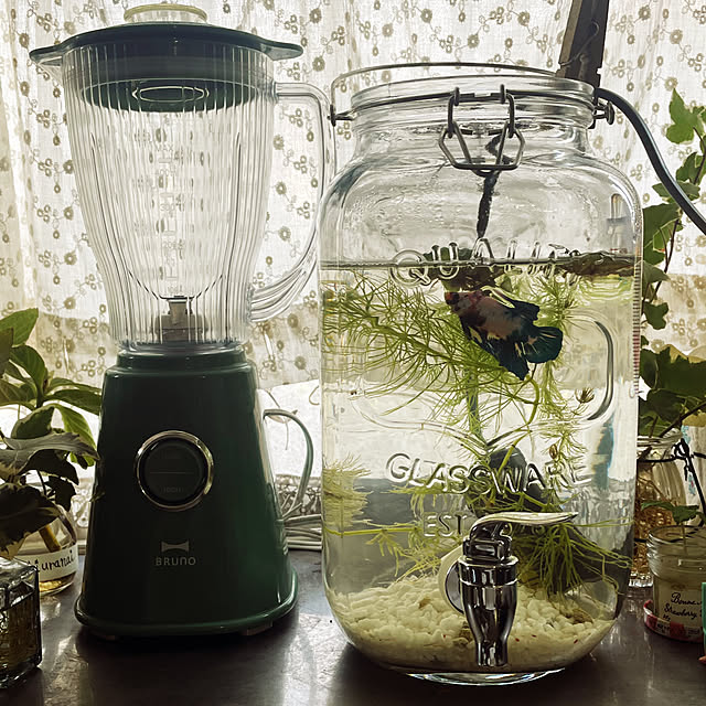 yuuchoさんの実例写真