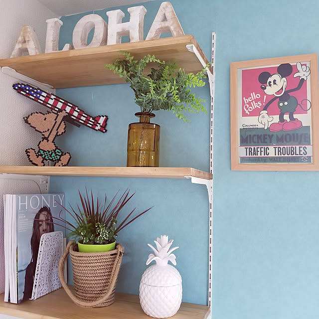 reinalohaさんの実例写真