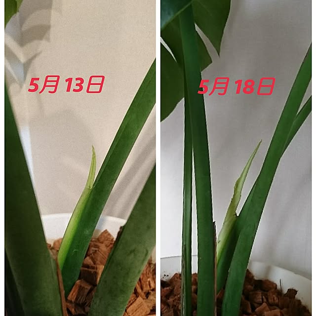 miru-neさんの実例写真