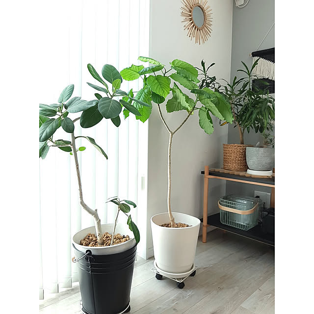 k...さんの実例写真