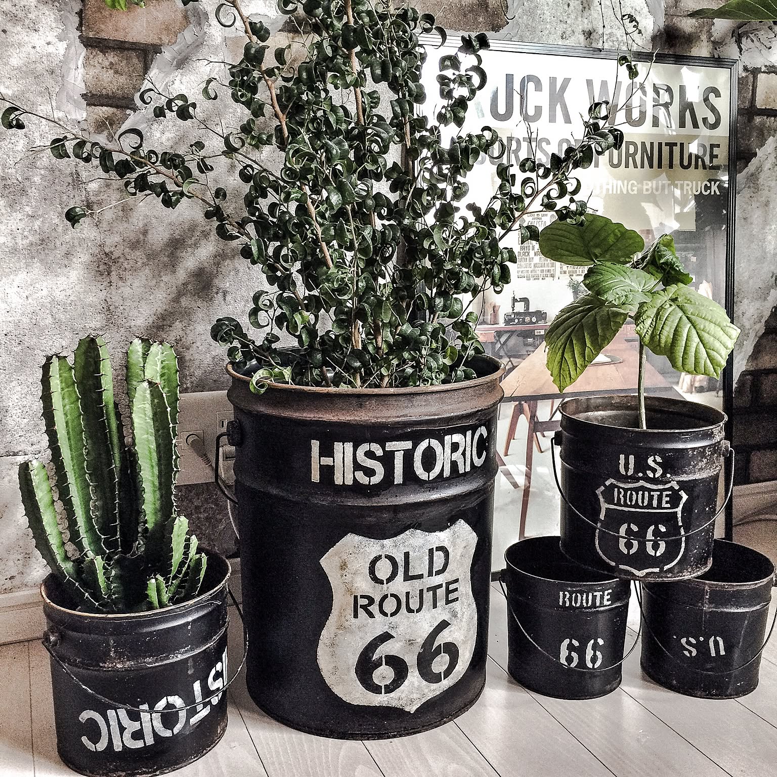 グリーンもポットで“男前”に変身!