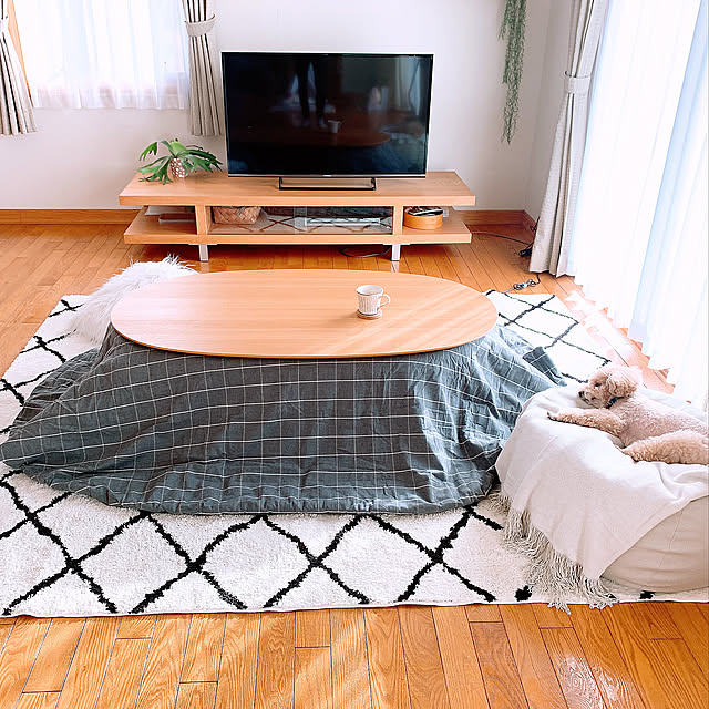 ハナロロオニオンソファ,癒しの空間,愛犬と暮らす家,観葉植物,ワンコ,愛犬,無印良品,ナチュラル,北欧,Lounge,ラグ,こたつ,無印のこたつ teaの部屋