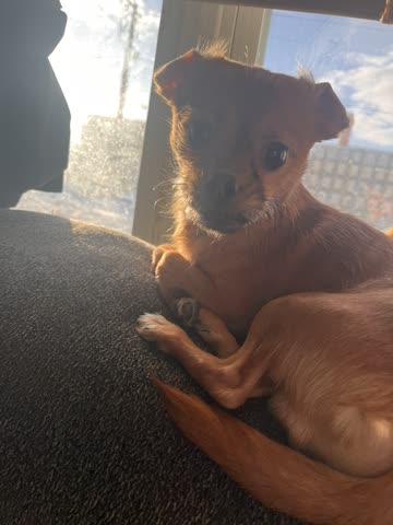 Jamie🇵🇷🤏🏽🫶🏽🙊