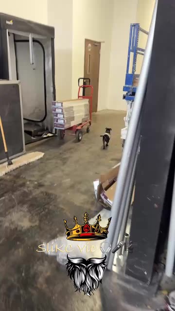 SliKC Vic 🎧🎤🎼