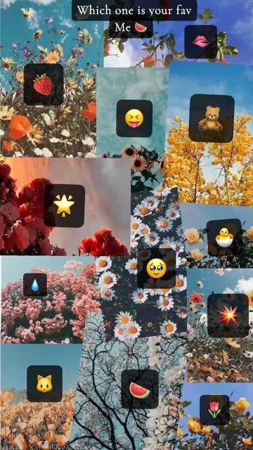 𝓁𝒶𝓇𝒶🎀✨