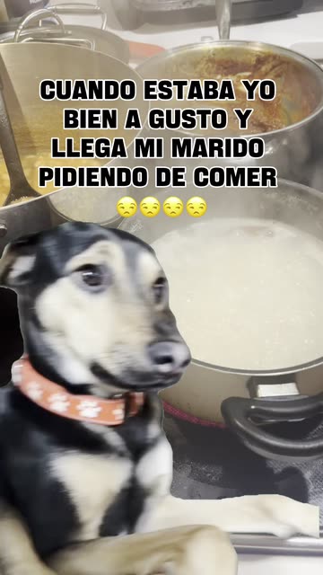 Lolischula Hernandez