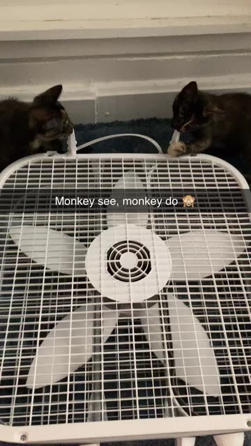 Emily 🧘🏼‍♀️✨