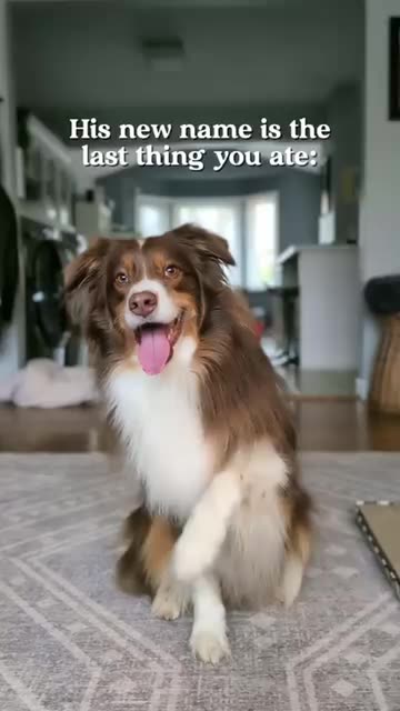 Carly + Crew | Content Creator