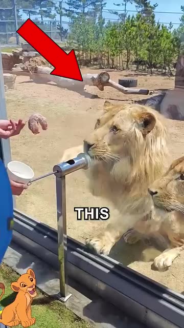 Philadelphia Food Flavor House