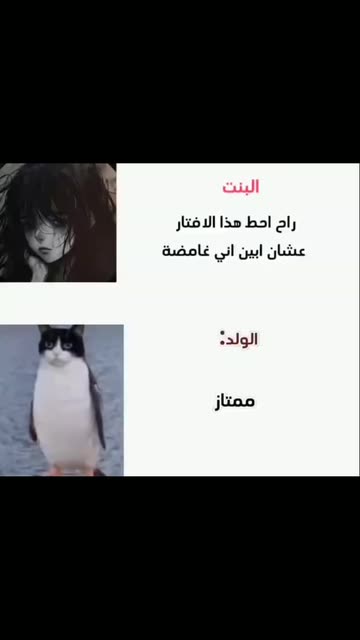 0xNawaf .