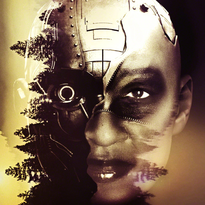 “Gullah Me: Technomerge” | $2192 | Digital photomontage, collage, and digital painting, 22.5 x 22.5 inches (framed) | #Techspressionist #Gullah art | © 2017 Verneda Lights.