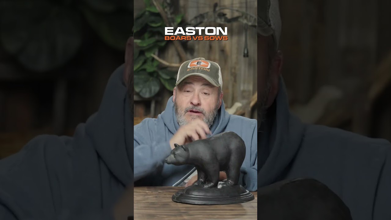Easton Archery // Boars vs Sows - Bear Hunting Tips
