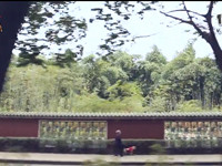 御龙在天_五城之约_家族闺蜜的旅行