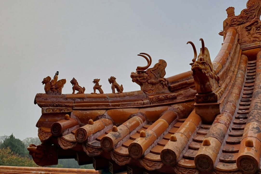 Под цветущей магнолией: как российские и китайские ученые создают солнечные элементы будущего Иллюстрация к новости: Под цветущей магнолией: как российские и китайские ученые создают солнечные элементы будущего