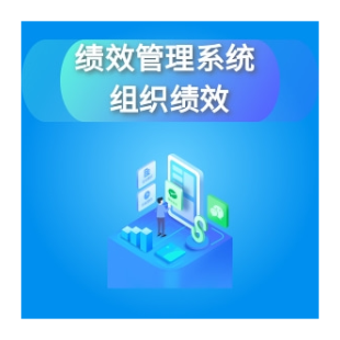 绩效管理系统 组织绩效 干部绩效 员工绩效管理软件定制