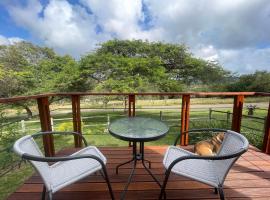 Jade Mountain Cottage 玉山小屋, hotel in White River