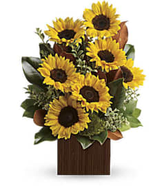 The You're Golden Bouquet. An arrangement by Flowers of Jacksonville. The You're Golden Bouquet. An arrangement by Flowers of Jacksonville.