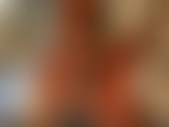 Resources and links for pick-ups, bridges, tuners, tone styler, strings, wood and shop supplies