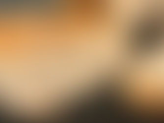 Dinkel-Sauerteigbrot