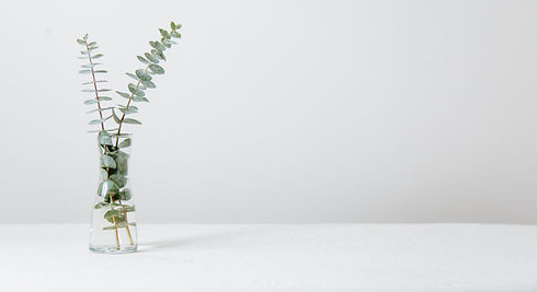 stem in a vase pic_edited_edited_edited.jpg