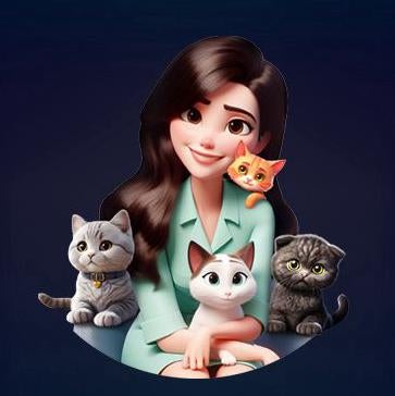 Booking or Chat with us