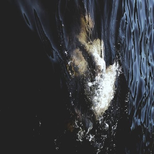 AN NCS PREMIERE: FAWN LIMBS & NADJA - VESTIGIAL SPECTRA - NO CLEAN SINGING