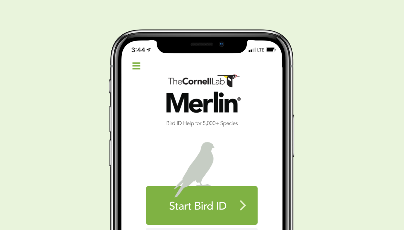 Download Merlin Bird ID