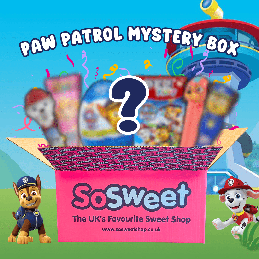 Paw Patrol Mystery Box