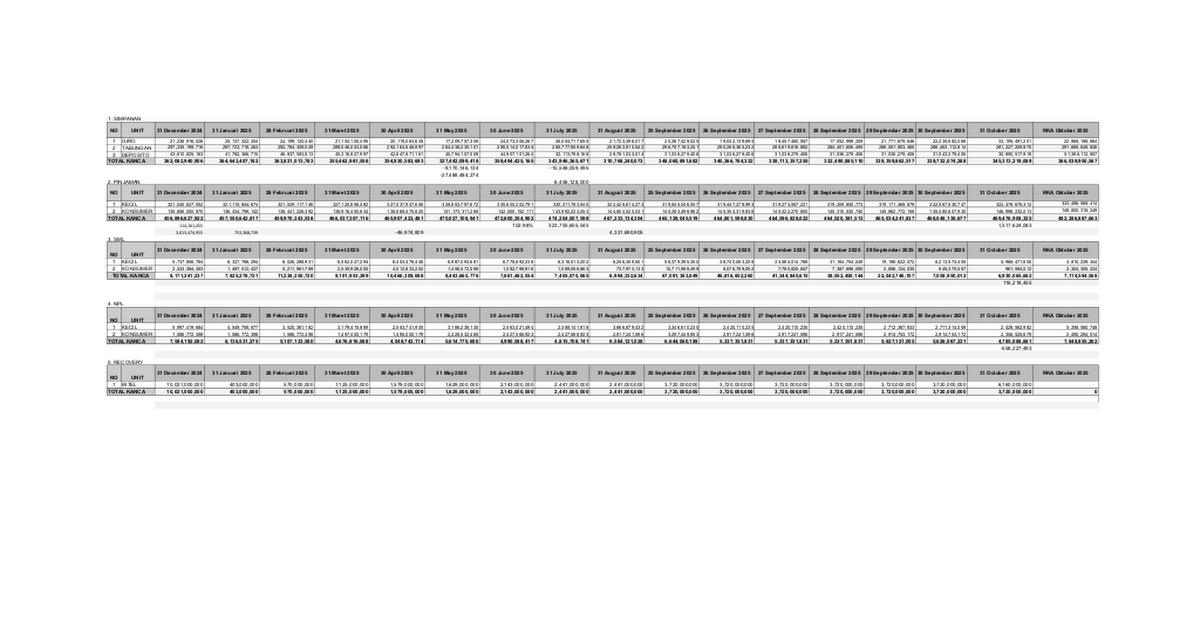 Rekapitulasi Pencapaian RKA RITEL BO LIWA