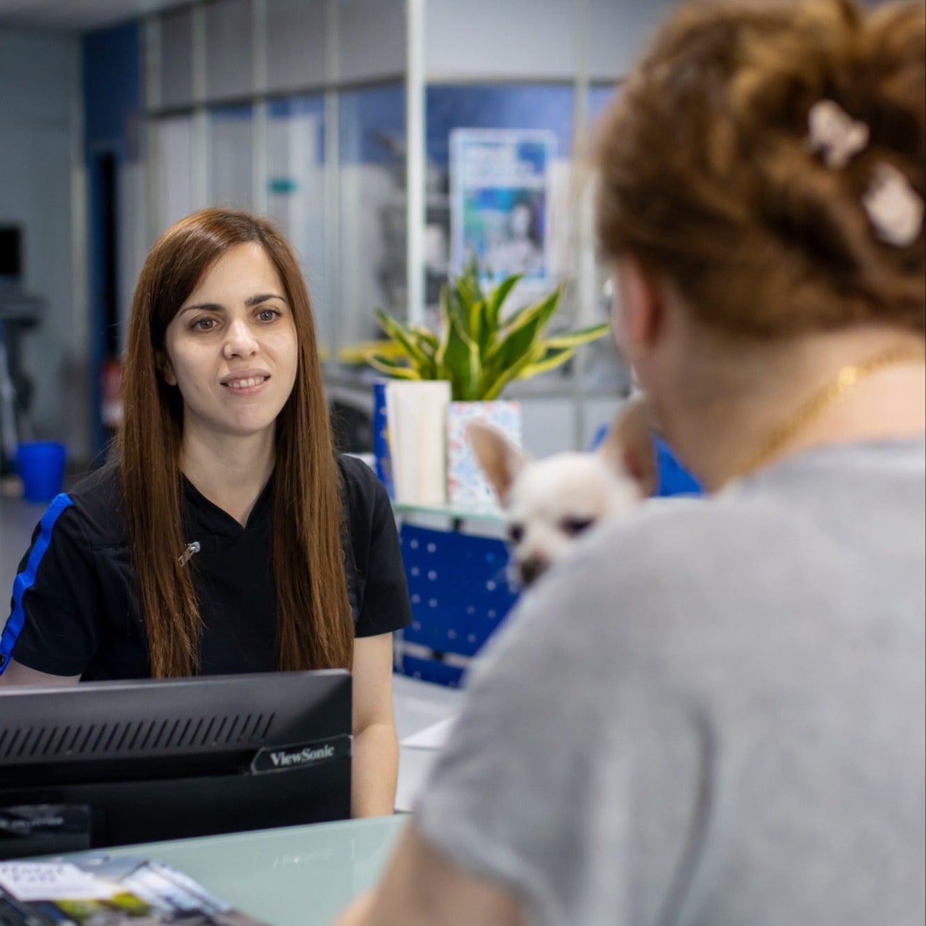 TRUCA'NS a Clínica Veter7 de Sagrada Família