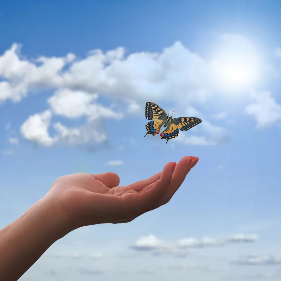 Prenota la tua seduta di ThetaHealing®