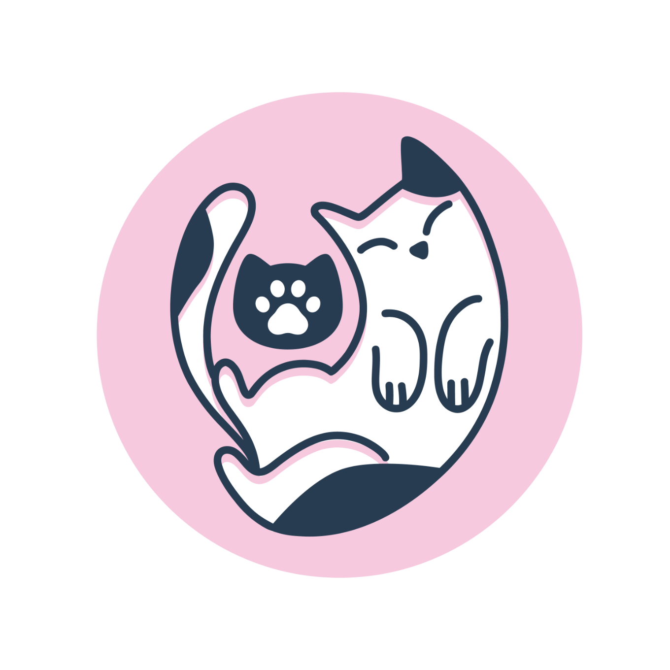 Bienvenidos a nuestra nueva agencia de marketing: Catmark