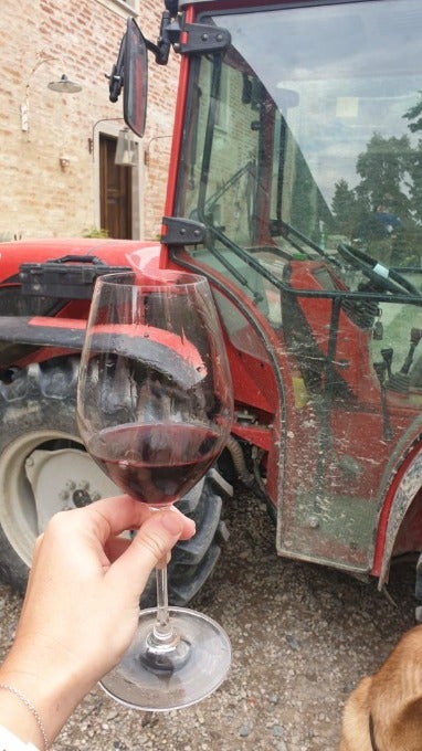 How to work on a vineyard in Italy in 2023