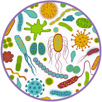 LoveBiome Daily 3 System