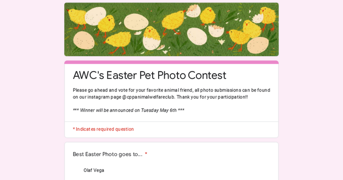 Easter Pet Photo Contest Voting