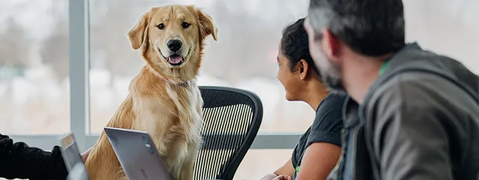 Schedule Consultation