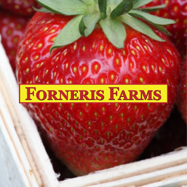 Farm Market : What's In Season?